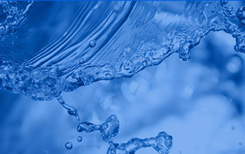 廈門(mén)大學(xué)黨委書(shū)記楊振斌一行蒞臨公司考察