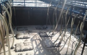 造紙廠污水怎么處理？存在的問題有哪些？