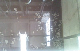 畜禽廢水處理設(shè)備結(jié)構(gòu)是怎樣的？三大特點介紹！