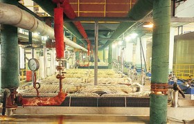 殺菌滅藻劑如何使用？必備殺菌劑注意事項有哪些？