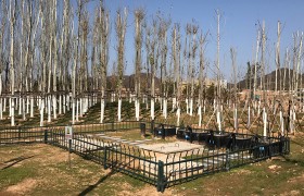 中水回用系統(tǒng)的五大優(yōu)勢(shì)，你知道哪些？