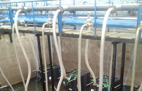 污水處理mbr膜堵了怎么辦？mbr膜為什么老是堵？