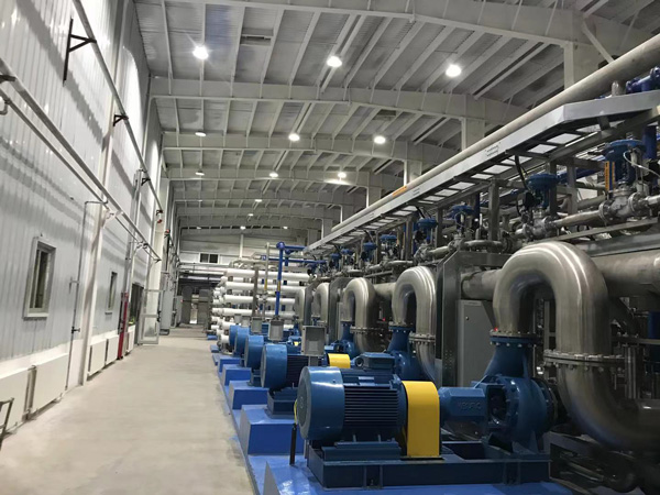 影響中空纖維超濾膜分子截留的因素有哪些？